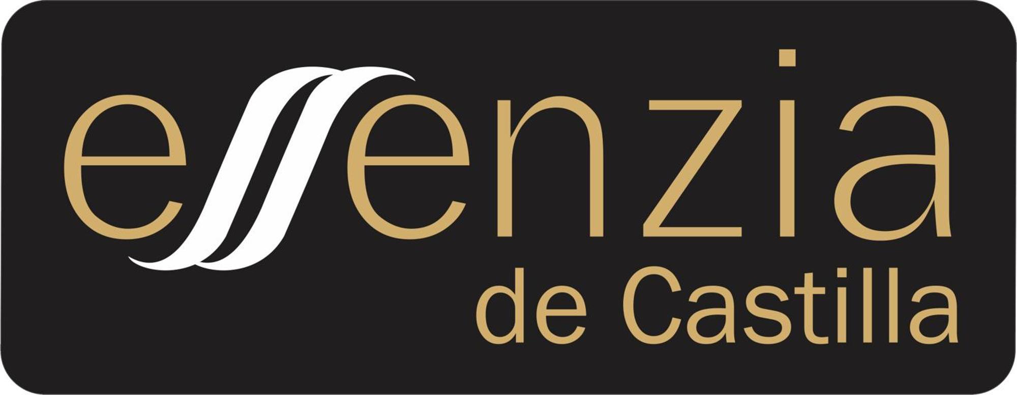 Aparthotel Essenzia De Castilla Aranda de Duero Exteriér fotografie